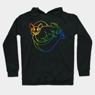 Snuggle Pile (Rainbow Version) Hoodie